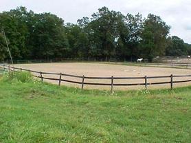 Horse Boarding Stable-Horse Training-Riding Lessons-Holly, Michigan-Eleventh Hour Farm & Equestrian Center