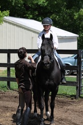 Horse Boarding Stable-Horse Training-Riding Lessons-Holly, Michigan-Eleventh Hour Farm & Equestrian Center