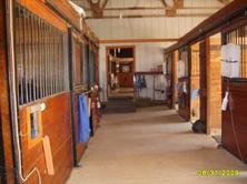 Horse Boarding Stable-Horse Training-Riding Lessons-Holly, Michigan-Eleventh Hour Farm & Equestrian Center