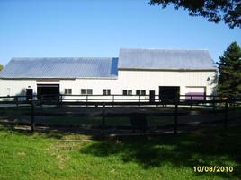 Horse Boarding Stable-Horse Training-Riding Lessons-Holly, Michigan-Eleventh Hour Farm & Equestrian Center