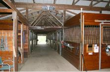 Horse Boarding Stable-Horse Training-Riding Lessons-Holly, Michigan-Eleventh Hour Farm & Equestrian Center